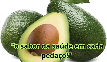 Abacate-o-sabor-da-saúde-em-cada-pedaço_-_1_
