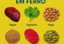 Guia essencial: tudo o que você precisa saber sobre o ferro e sua absorção