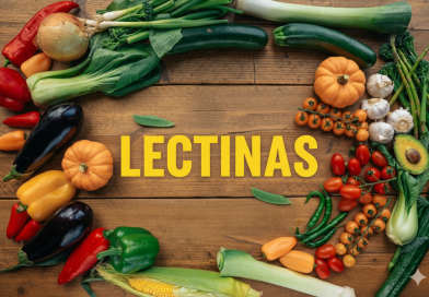 Proteínas alimentares e inflamação crônica