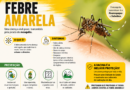 Febre amarela: não deixe o mosquito virar seu “vizinho”
