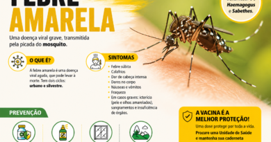 Febre amarela: não deixe o mosquito virar seu “vizinho”