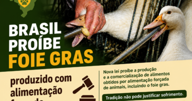 Brasil proibe o foe Gras