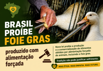 Brasil proibe o foe Gras