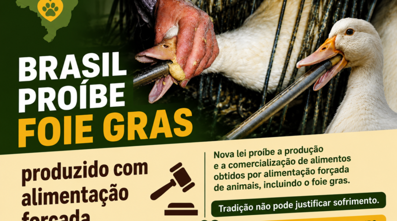 Brasil proibe o foe Gras